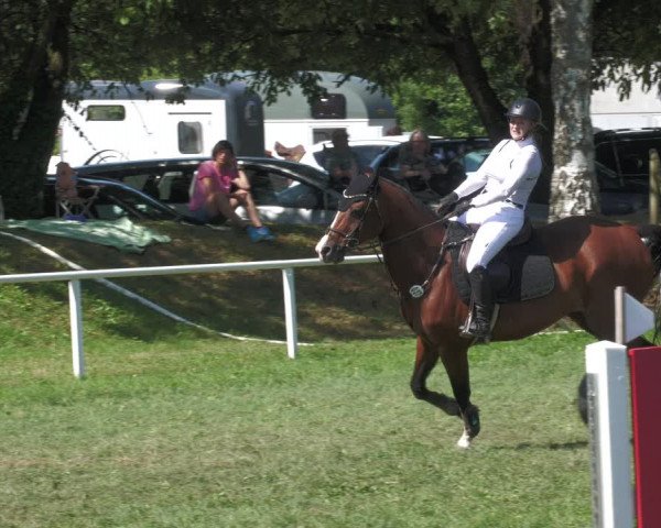 Reitturnier Nussbach 2022
