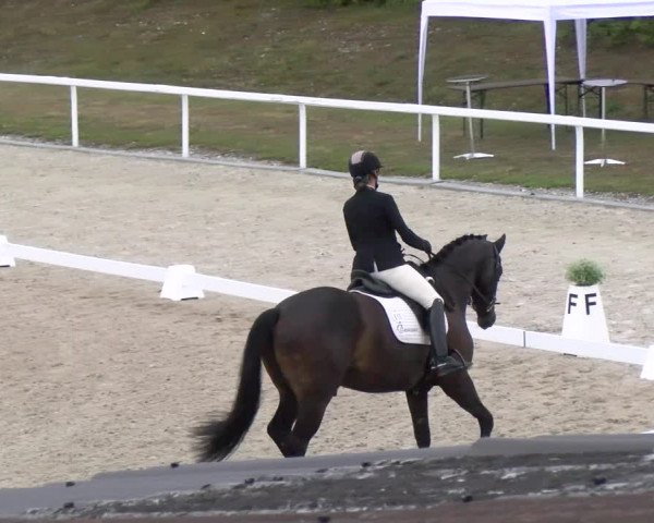 Reitturnier Bülach 2022