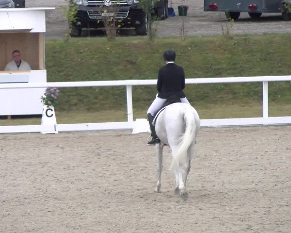 Reitturnier Bülach 2022