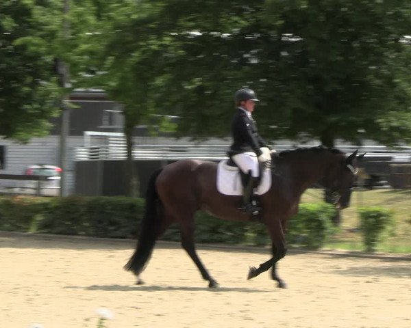 Reitturnier Olfen-Vinnum 2022