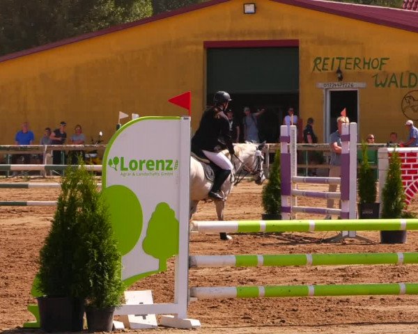 Reitturnier Altlandsberg 2022