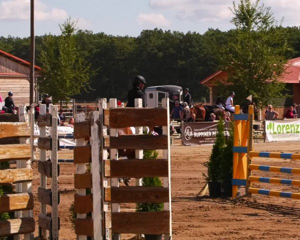 Reitturnier Altlandsberg 2022