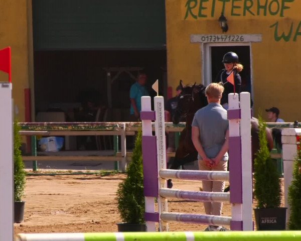 Reitturnier Altlandsberg 2022