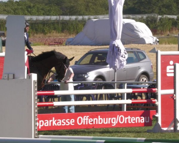 Reitturnier Nussbach 2022