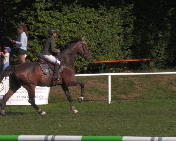 Reitturnier Nussbach 2022