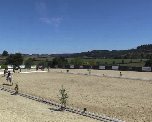 Reitturnier Lindlar-Süttenbach 2022
