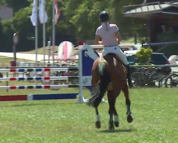 Reitturnier Bad Kissingen/Ufr. 2022