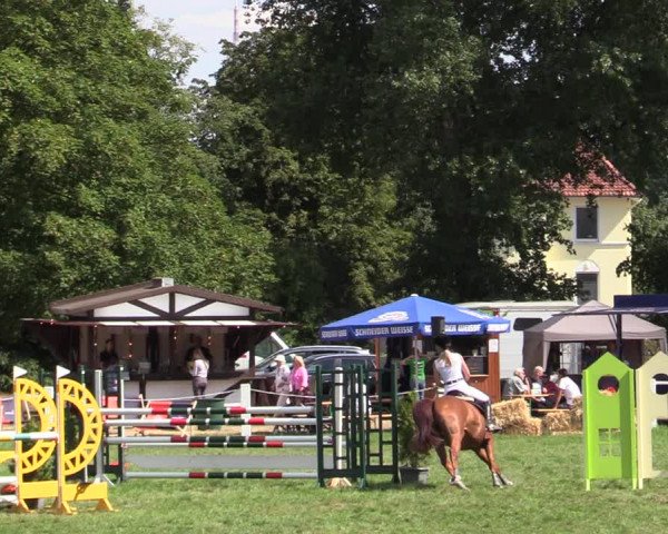 Reitturnier Hannover/Reiterstadion 2022