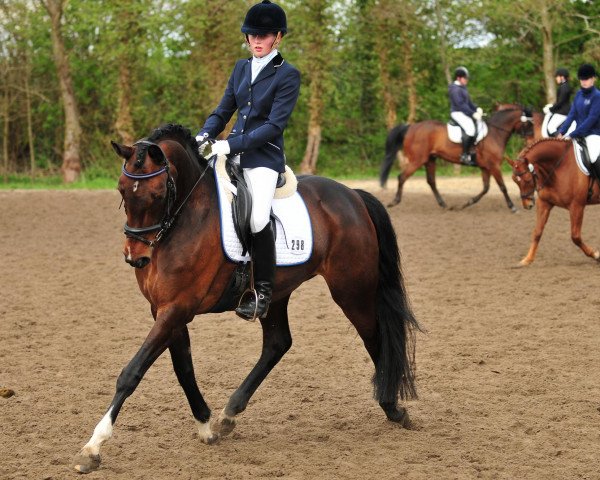 broodmare Ronja 1931 (Hanoverian, 2005, from Rotspon)