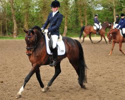 broodmare Ronja 1931 (Hanoverian, 2005, from Rotspon)