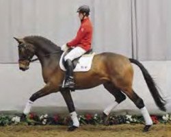 horse Froschkönig (Westphalian, 2009, from Flovino)