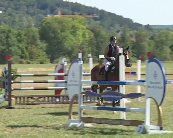Reitturnier Bad Kissingen/Ufr. 2022