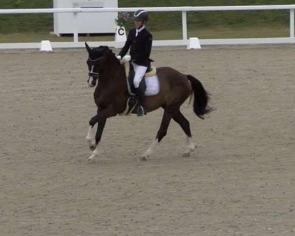 Reitturnier Bülach 2022