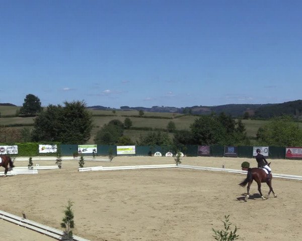 Reitturnier Lindlar-Süttenbach 2022