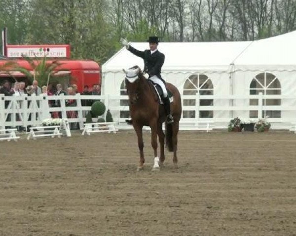 dressage horse Feeling 38 (Hanoverian, 2003, from Fielmann)
