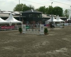 jumper Top Zarino (German Riding Pony, 2007, from Top Zento)