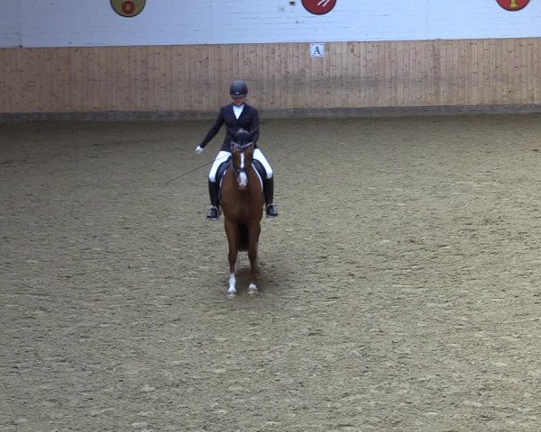 Reitturnier Olfen-Vinnum 2022