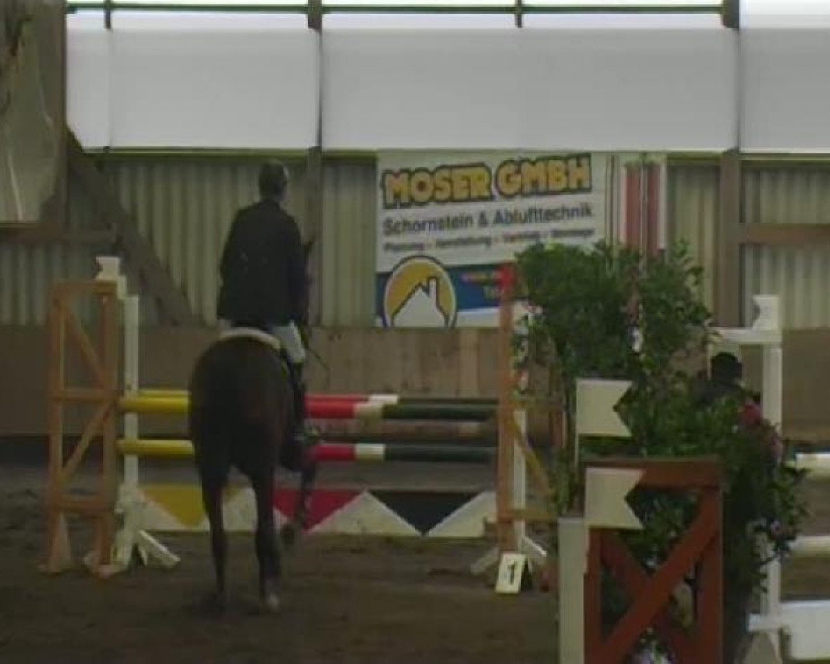 jumper Carpaccio 5 (Rhinelander, 1996, from Contender)