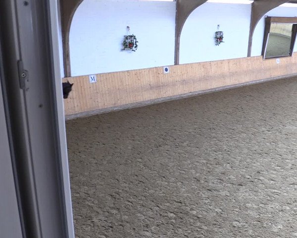 Reitturnier Olfen-Vinnum 2022
