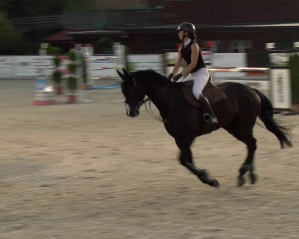 Reitturnier Schüpfheim 2022