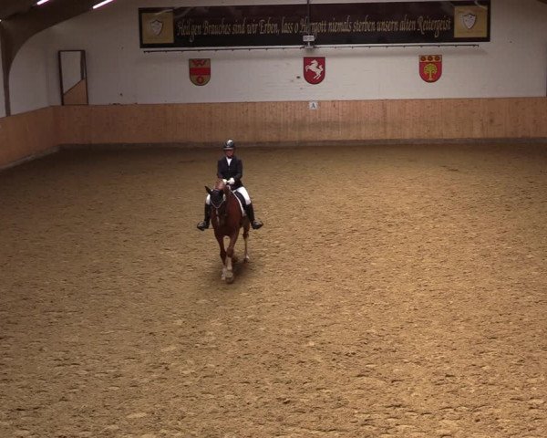 Reitturnier Olfen-Vinnum 2022