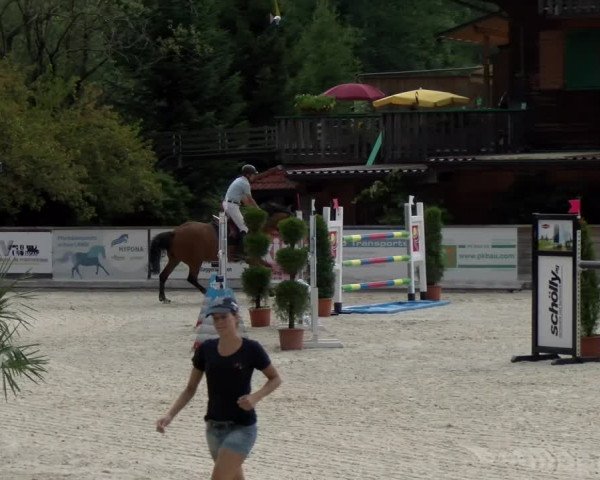 Reitturnier Schüpfheim 2022