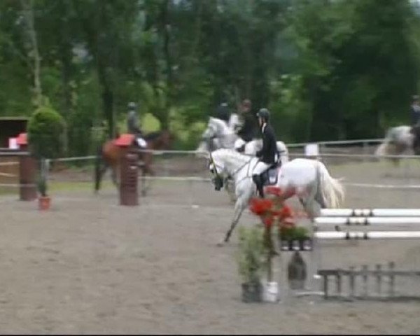 jumper Carlchen white (Holsteiner, 2004, from Caproni)