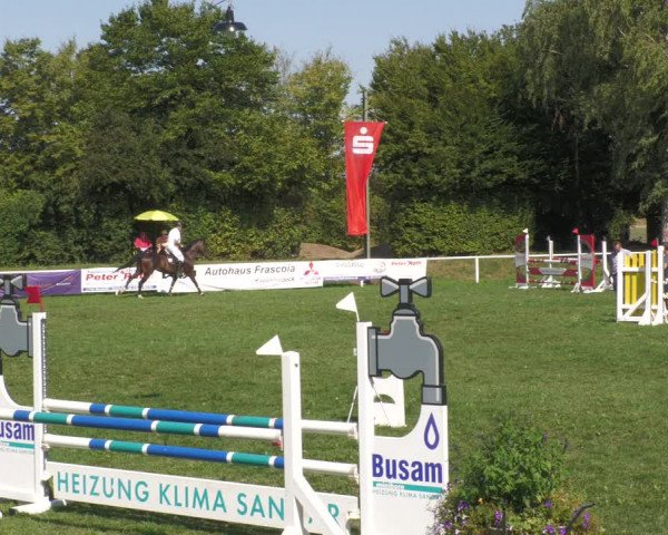 Reitturnier Nussbach 2022
