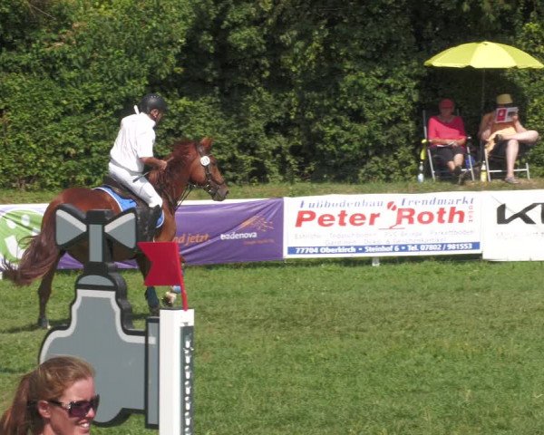 Reitturnier Nussbach 2022