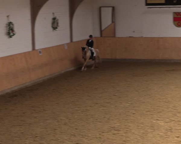 Reitturnier Olfen-Vinnum 2022