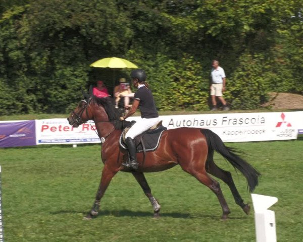Reitturnier Nussbach 2022