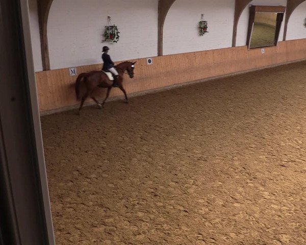 Reitturnier Olfen-Vinnum 2022