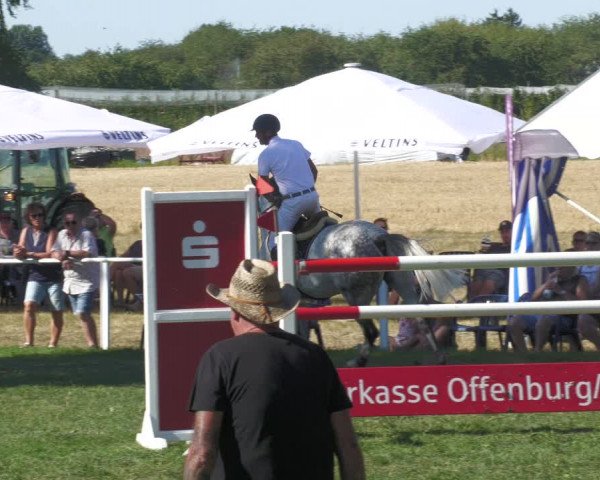 Reitturnier Nussbach 2022