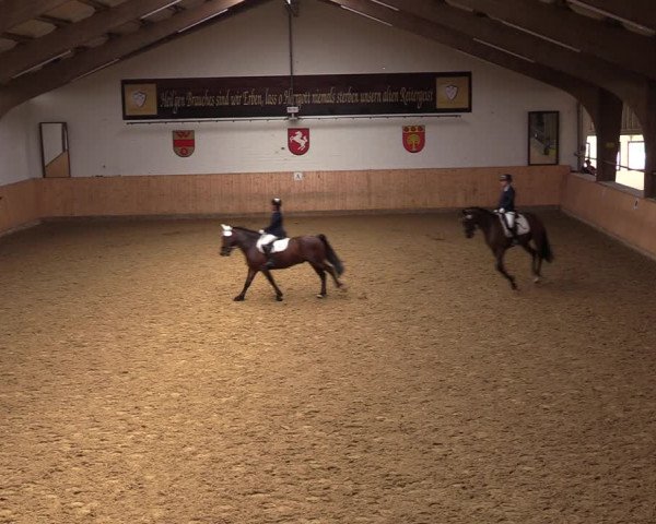 Reitturnier Olfen-Vinnum 2022