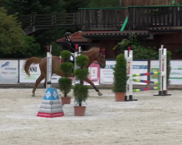 Reitturnier Schüpfheim 2022