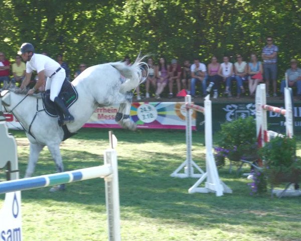 Reitturnier Nussbach 2022