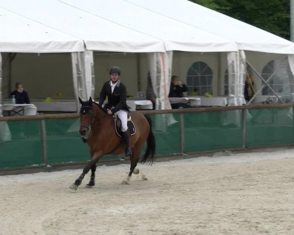 Reitturnier Schüpfheim 2022