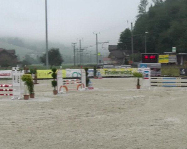 Reitturnier Schüpfheim 2022