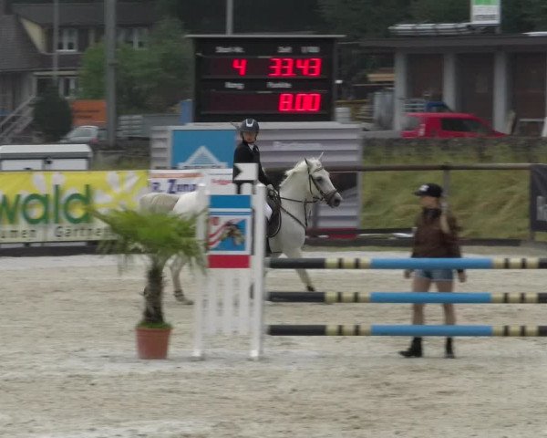 Reitturnier Schüpfheim 2022