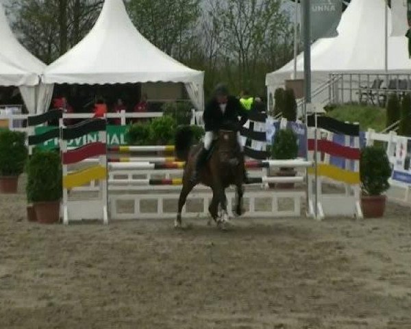 jumper Caramba 69 (Westphalian, 2007, from Contendro)
