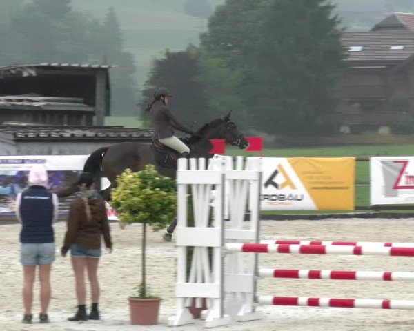 Reitturnier Schüpfheim 2022