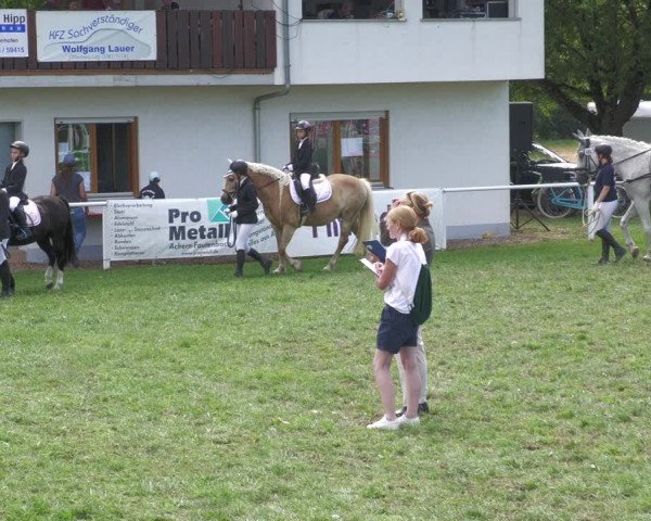 Reitturnier Nussbach 2022
