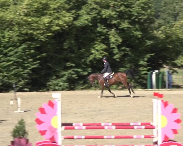 Reitturnier Bonn - Annaberger Hof 2022
