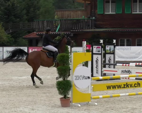 Reitturnier Schüpfheim 2022