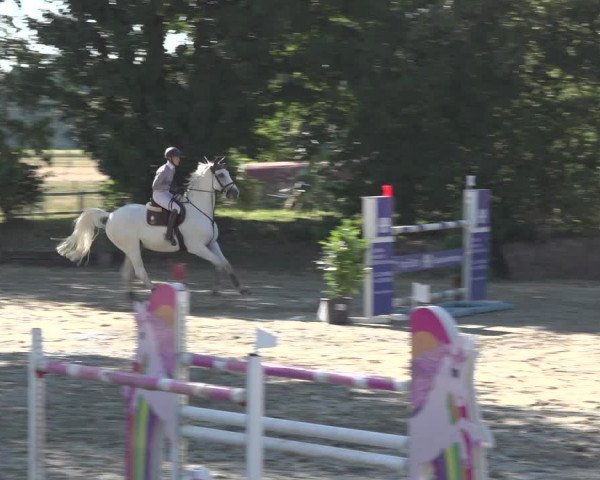 Reitturnier Bonn - Annaberger Hof 2022
