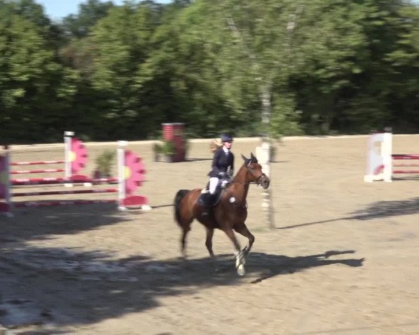 Reitturnier Bonn - Annaberger Hof 2022