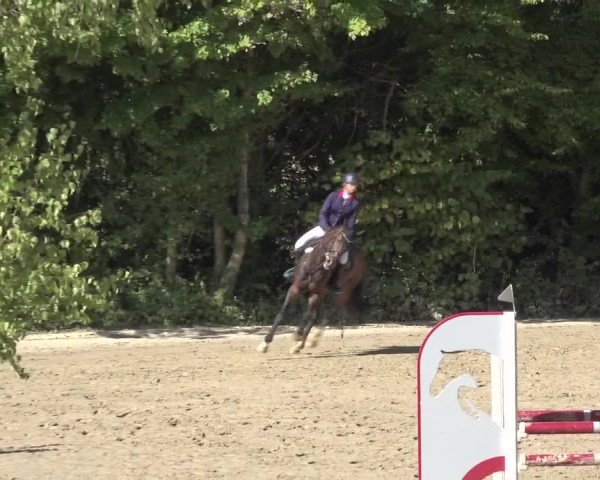Reitturnier Bonn - Annaberger Hof 2022