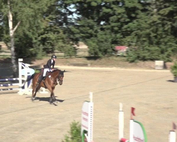 Reitturnier Bonn - Annaberger Hof 2022