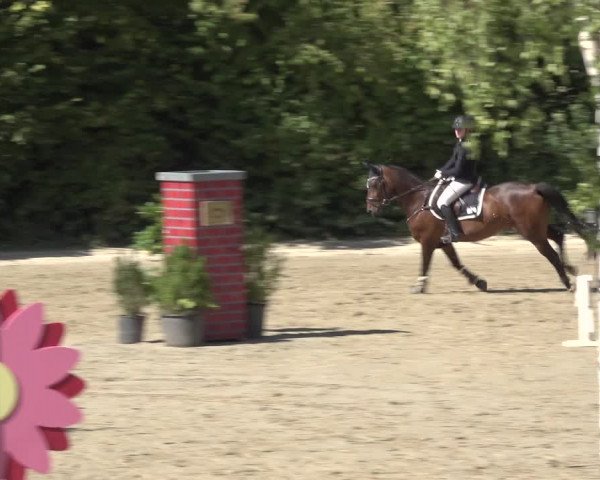 Reitturnier Bonn - Annaberger Hof 2022