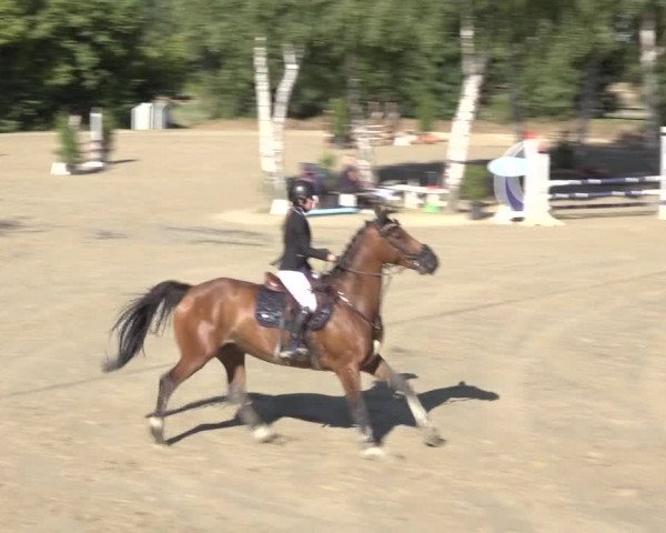 Reitturnier Bonn - Annaberger Hof 2022